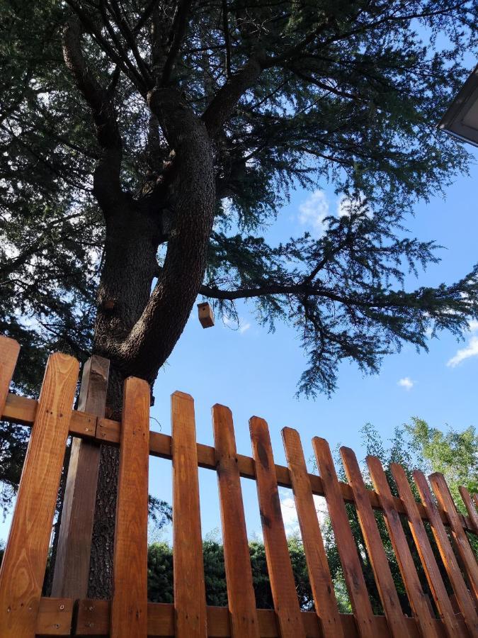 El Motivo Διαμέρισμα Cercedilla Εξωτερικό φωτογραφία